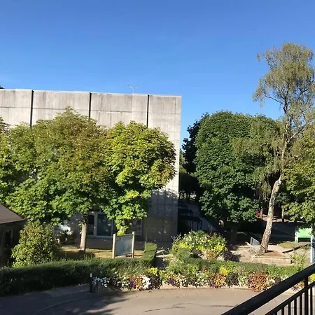Vittel, Appt 55 M2, En Face Du Parc Thermal Apartment