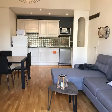Vittel, Appt 55 M2, En Face Du Parc Thermal