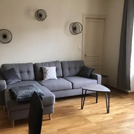 Vittel, Appt 55 M2, En Face Du Parc Thermal *