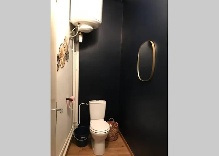 Vittel, Appt 55 M2, En Face Du Parc Thermal * Vittel