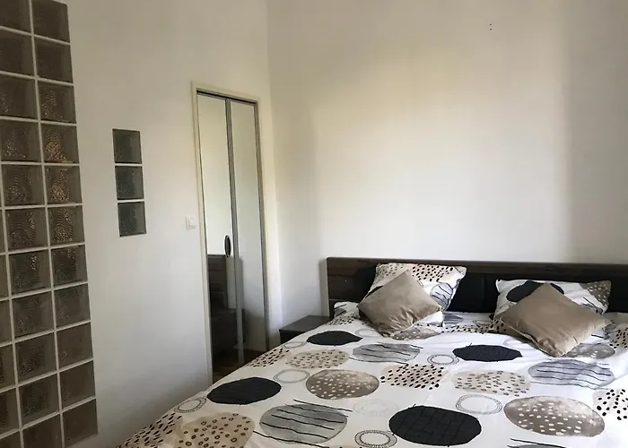 Vittel, Appt 55 M2, En Face Du Parc Thermal Lägenhet Vittel