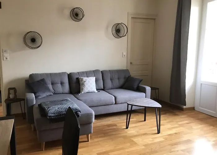 Vittel, Appt 55 M2, En Face Du Parc Thermal *